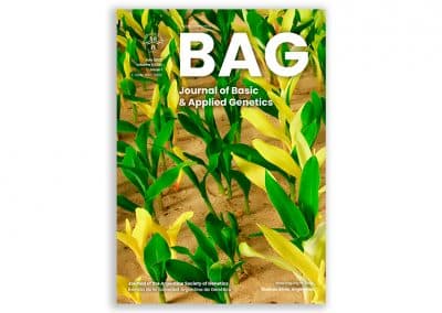 Vol. XXXIV | Issue 1
