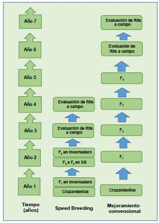Descripción: C:\scielo\serial\bag\v32n2\markup_xml\img\a2fig4.jpg