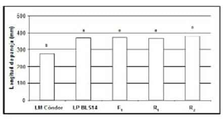Descripción: C:\scielo\serial\bag\v34n1\markup_xml\img\a1fig22.jpg